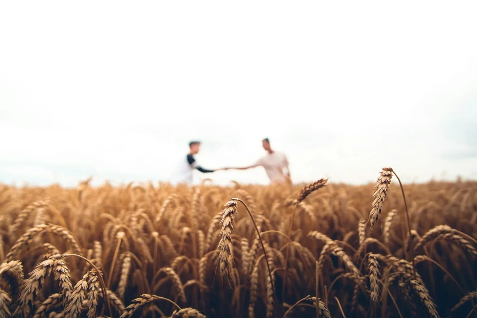 Raw material sourcing, farm to fork