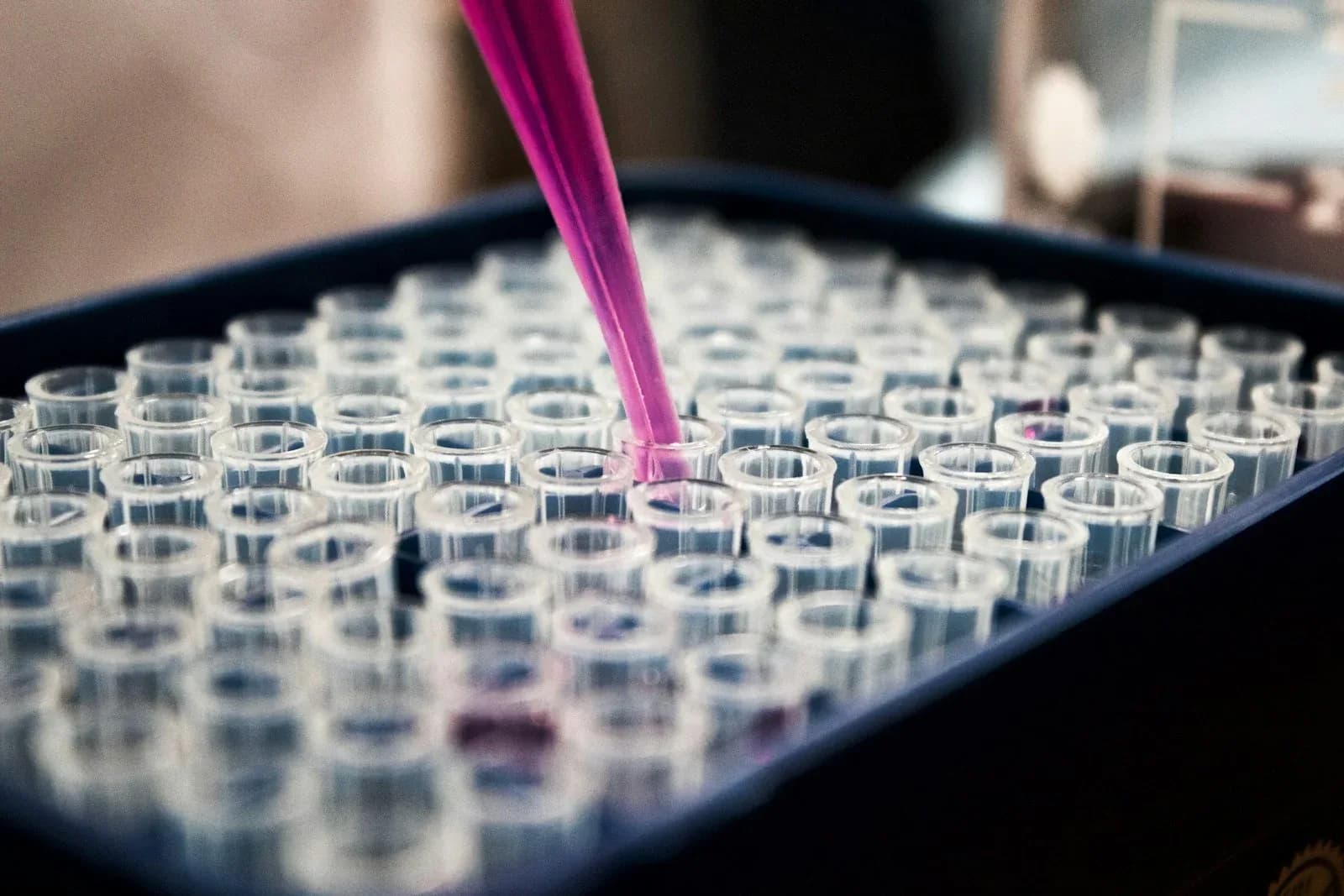 Batch samples in the lab